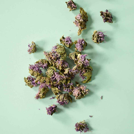 Monarde fistuleuse, fleur