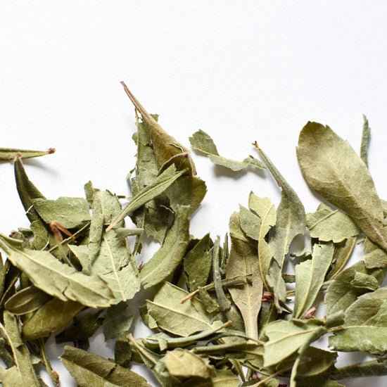 Myrique baumier, feuille