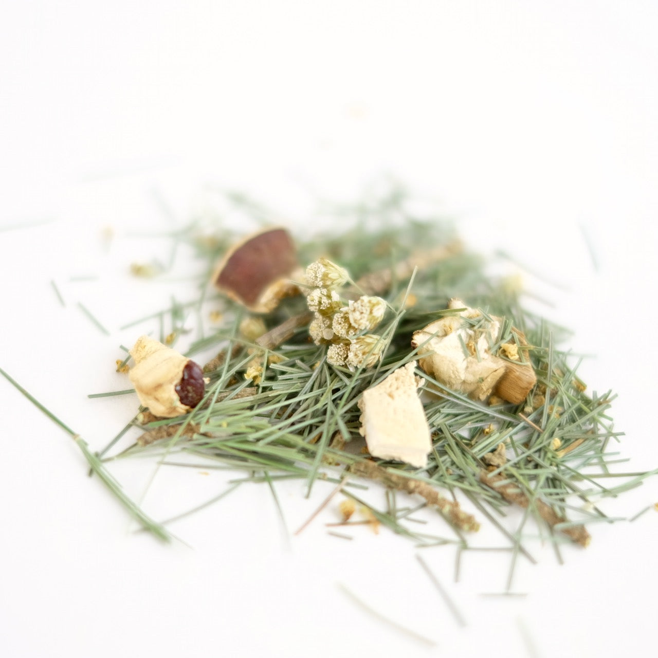 TEA OF PEACE // pine + reishi tea